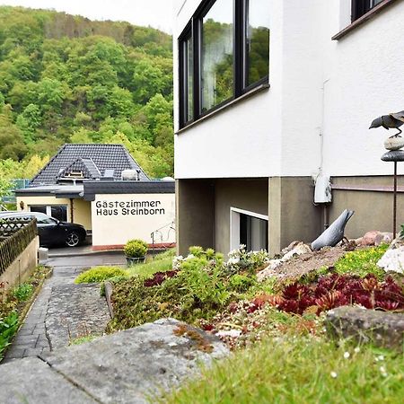 ホテル Gaestehaus Steinborn ハイムバッハ エクステリア 写真